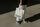 Person hält graue Stofftasche mit UTV Logo und Slogan in der Hand
